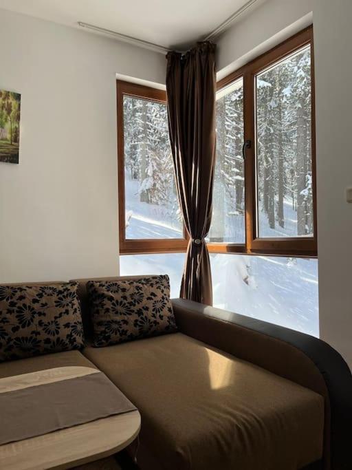 Forest Place Appartement Pamporovo Buitenkant foto